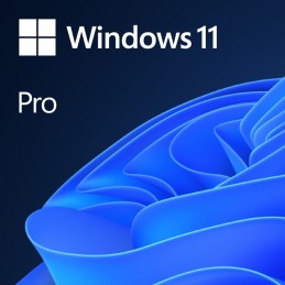 OEM Windows 11 Pro PL x64...